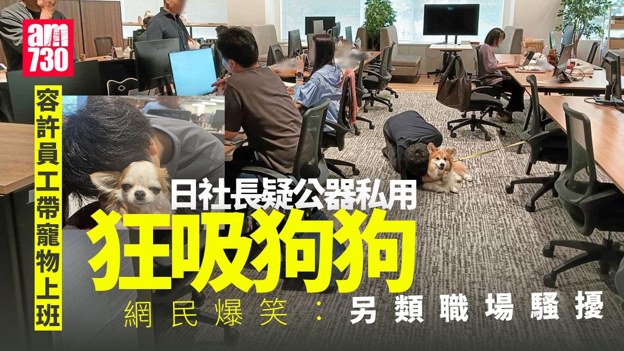 員工准帶寵物上班　社長公器私用狂吸狗狗　網民爆笑：另類職場騷擾(有片)