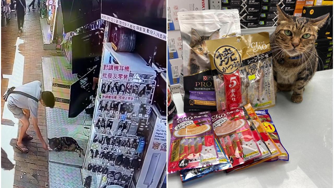 網上熱話｜愛貓男贈貓店長兩條「紅衫魚」 網友：特登唱錢俾貓貓 好有愛