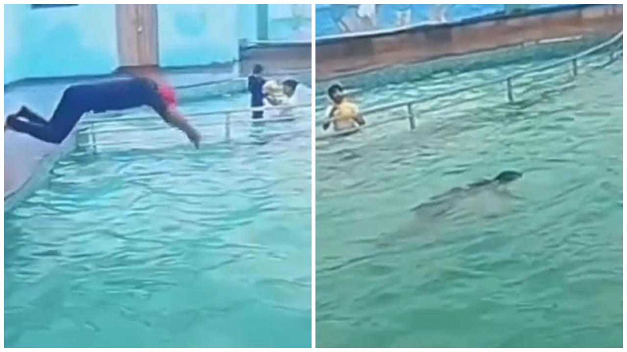 男子泳池派對表演跳水，僅10秒變浮屍。(X)