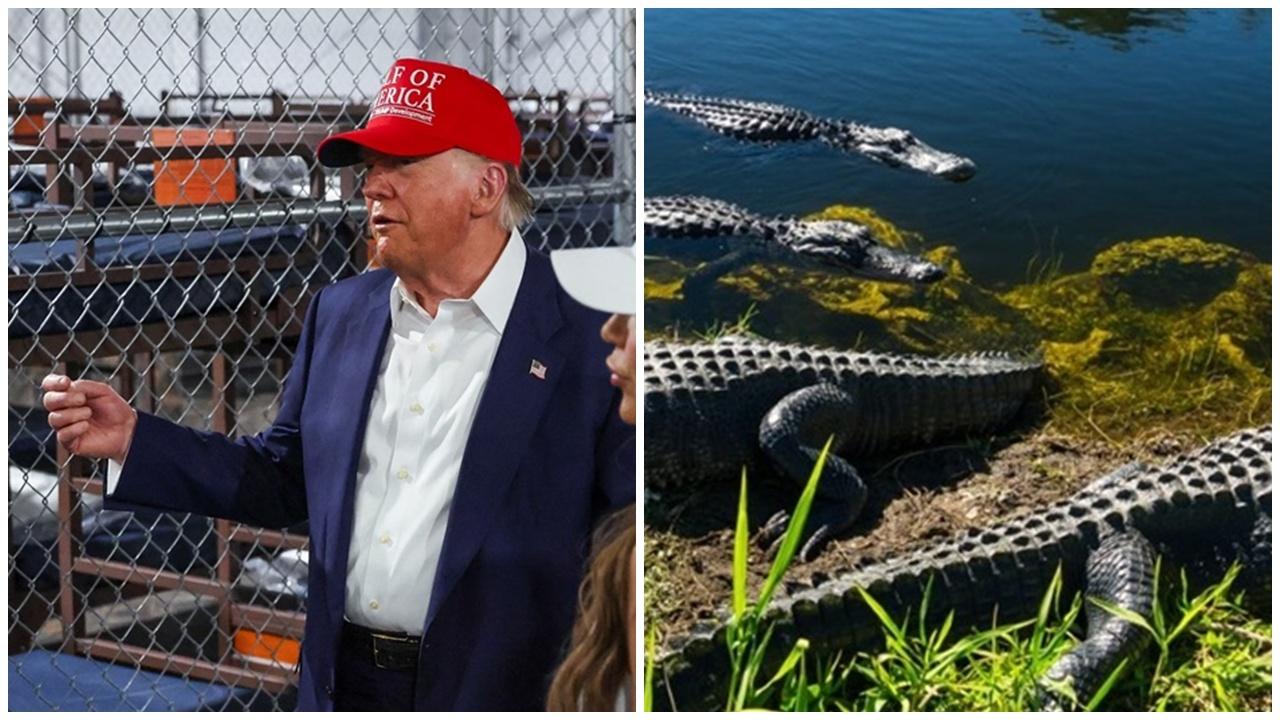 「鱷魚惡魔島」拘留中心啟用，特朗普教路：遇鱷魚勿直線跑。(X)