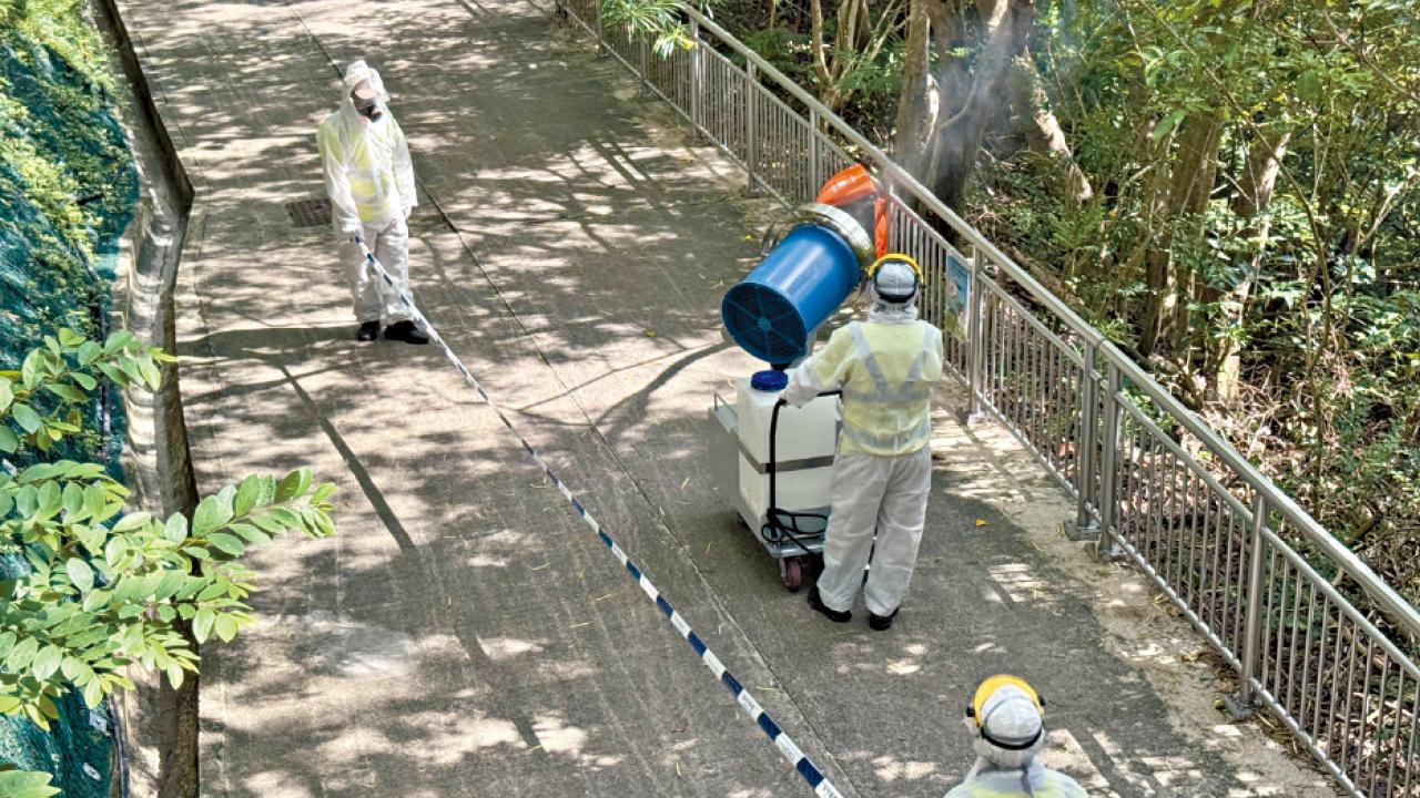 基孔肯雅熱佛山病例錄逾3000宗 袁國勇︰關節炎痛可達數月