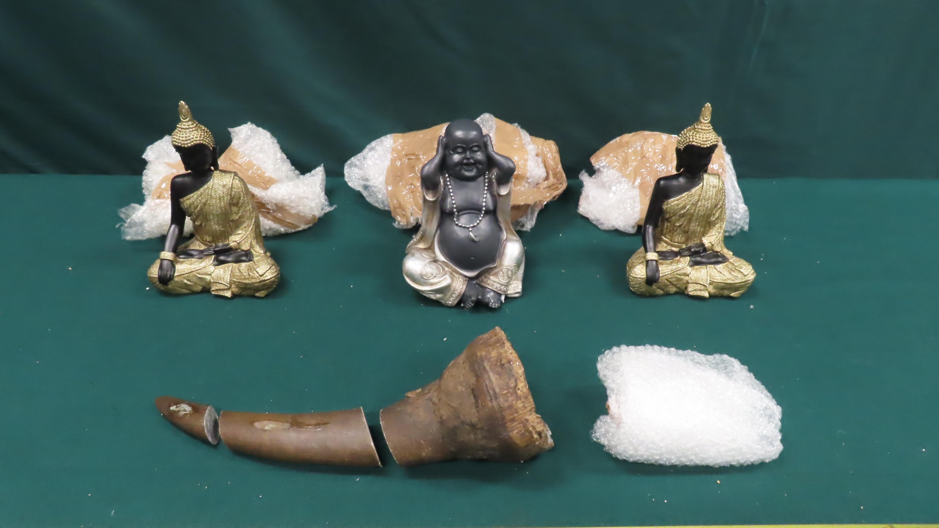 圖示檢獲的懷疑受管制屬瀕危物種的犀牛角及與其混雜擺放陶瓷製品。（政府新聞處圖片）