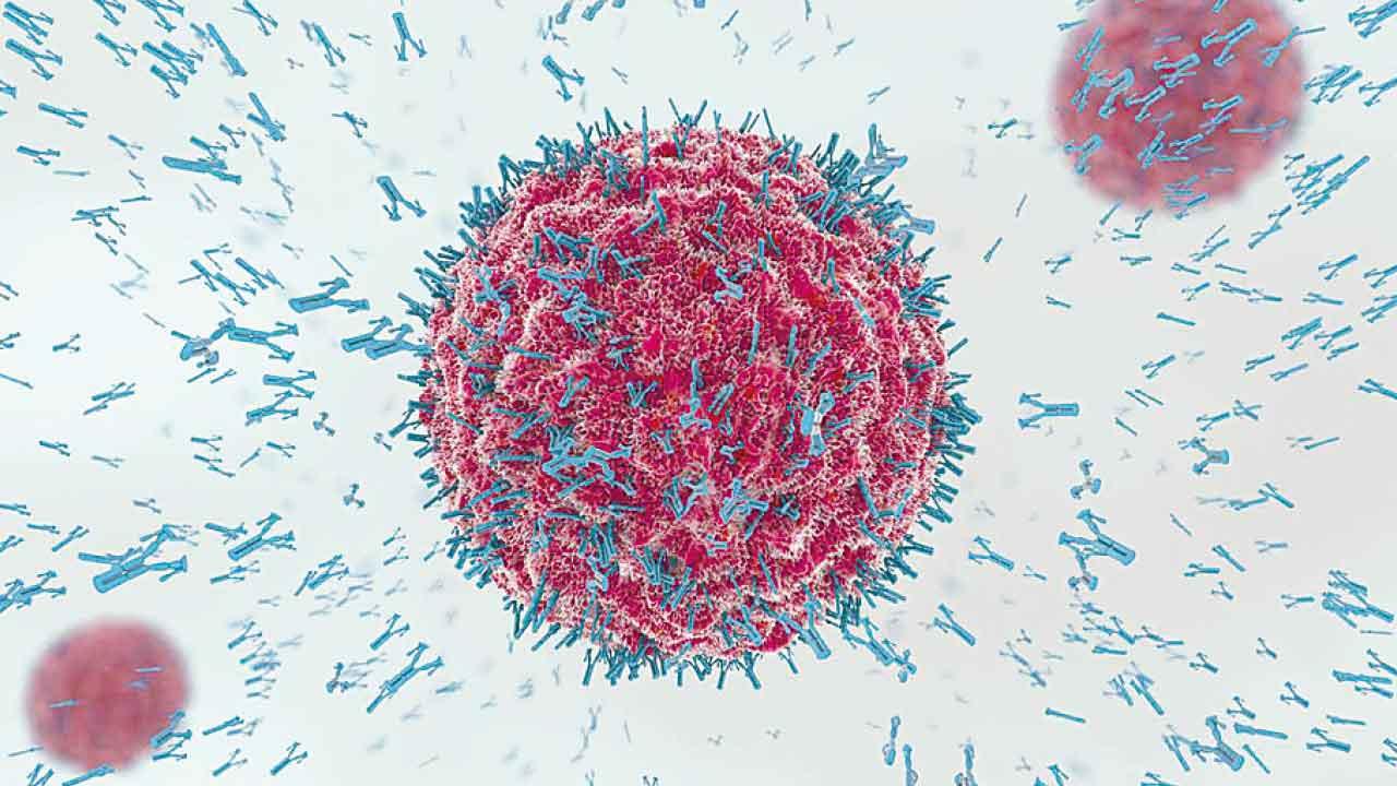 B細胞：免疫系統的「雙刃劍」