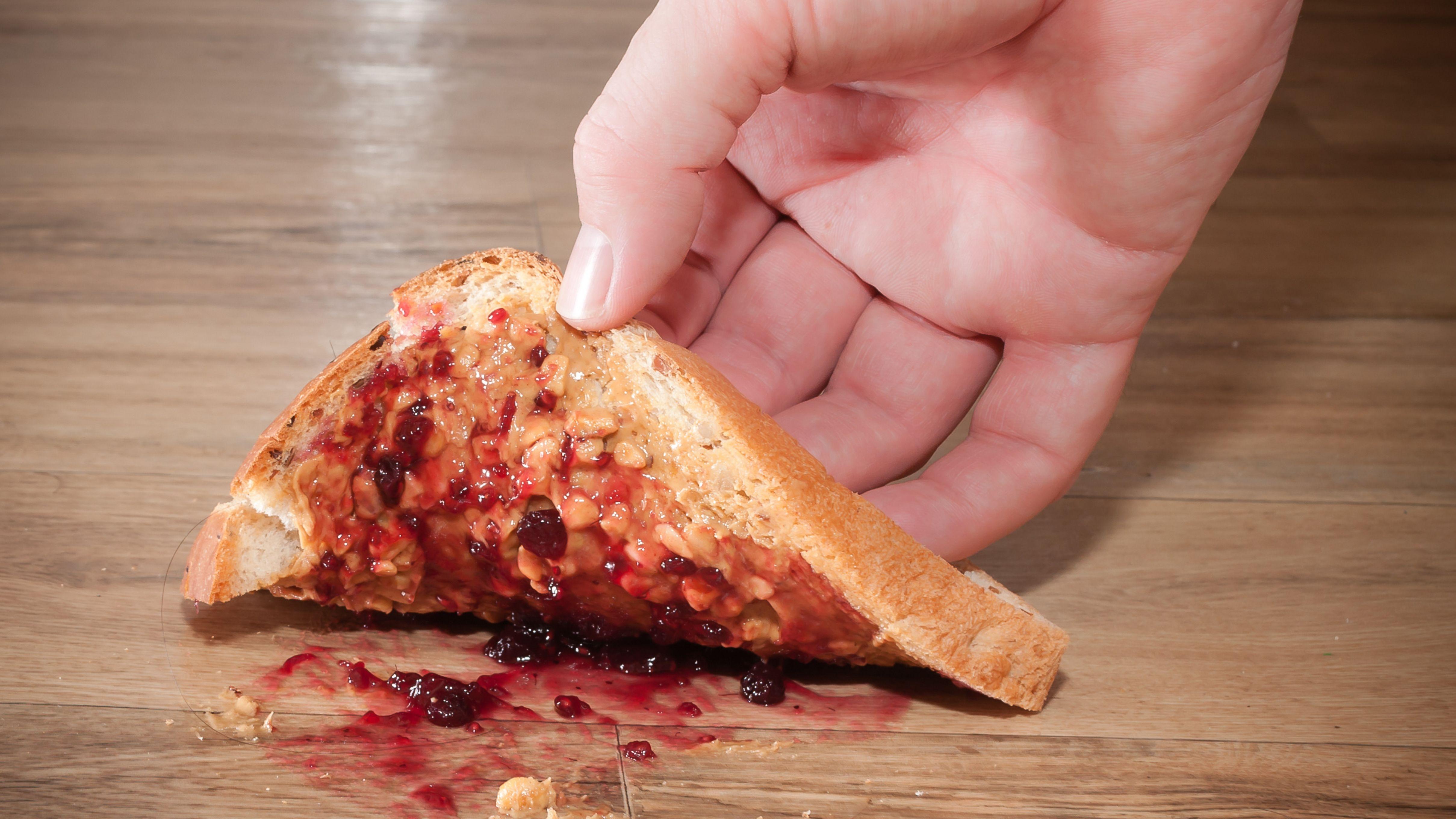 細菌污染 三秒定律 乾燥食物 灰塵 污染 細菌 肚瀉