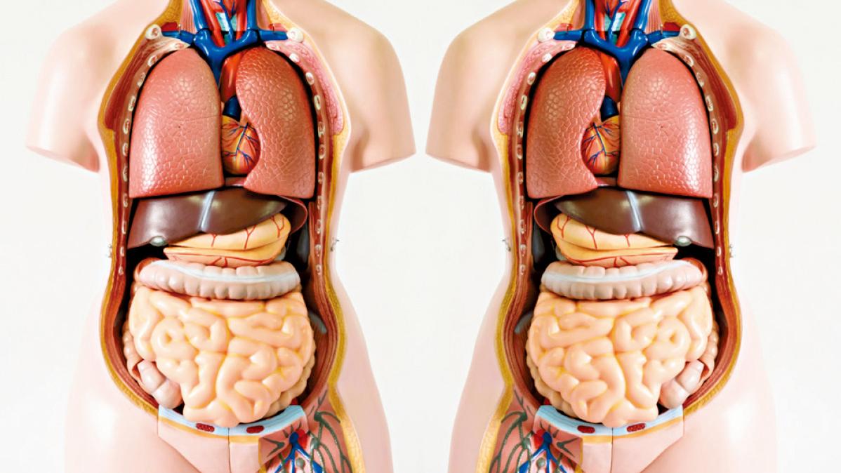 鏡面人內臟位置與常人相反