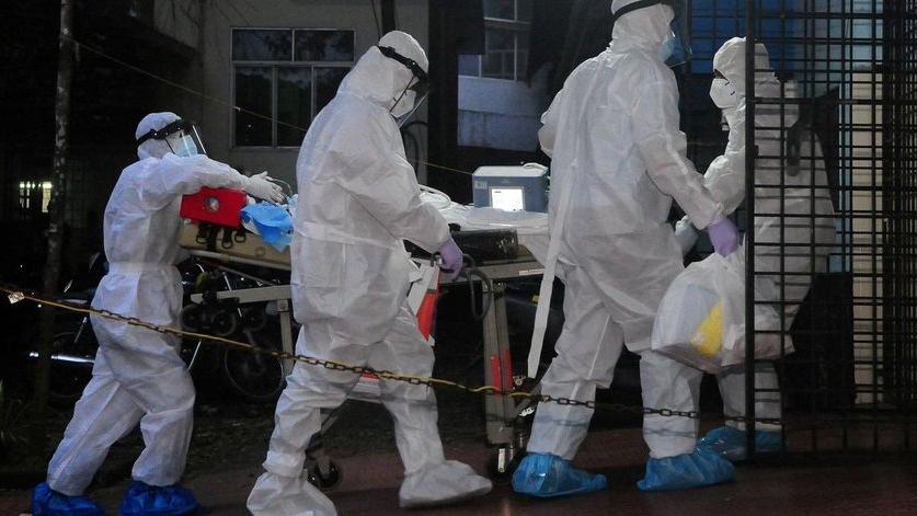 印度18歲少女染損腦蝙蝠病毒亡 累計2宗確診恐爆新一輪疫症