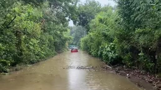 一輛私家車於粉錦公路遭水淹，司機被困。（fb「香港公共交通智庫 」圖片）