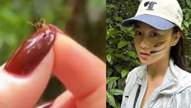 張馨予生食螞蟻體驗野外生活：酸的味道