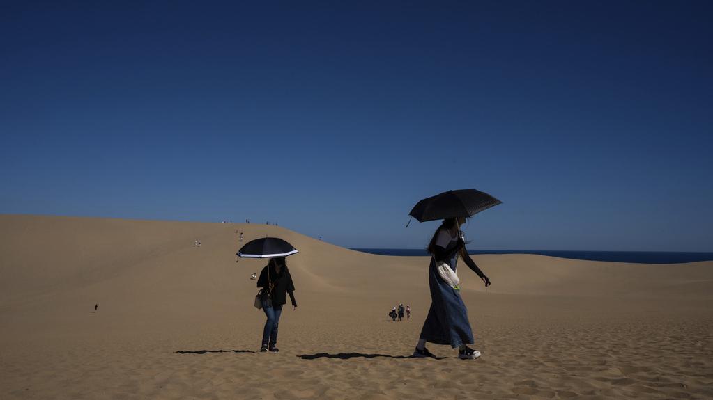 日本鳥取沙丘。(美聯社)
