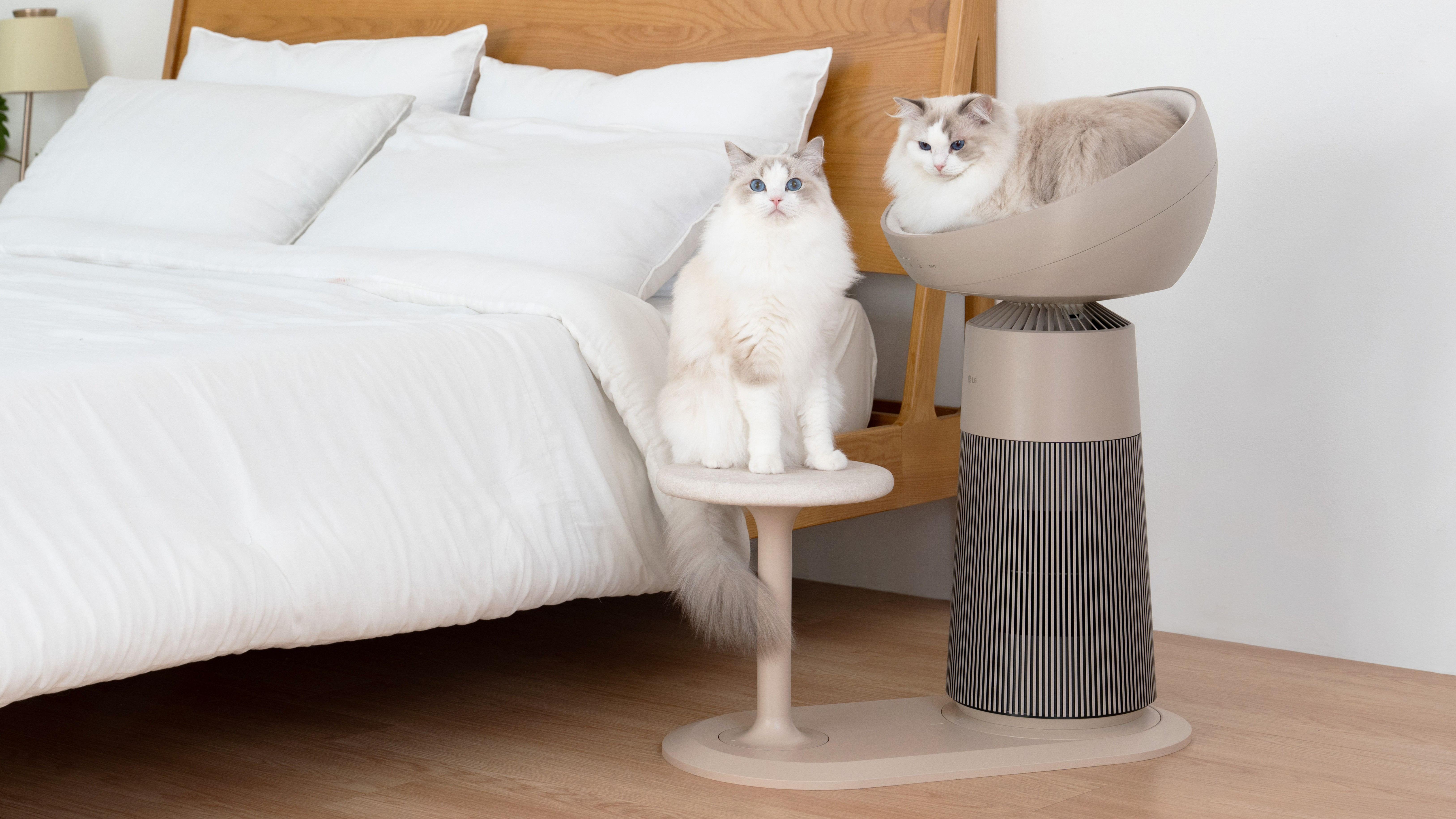 LG推出貓奴專用空氣清新機　貓王椅早鳥優惠平$1200