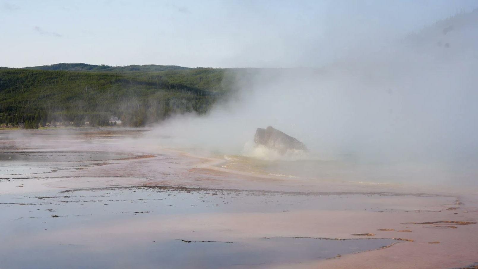 遊客霍華德捕捉到野牛跌進滾盪溫泉的一刻。(互聯網)