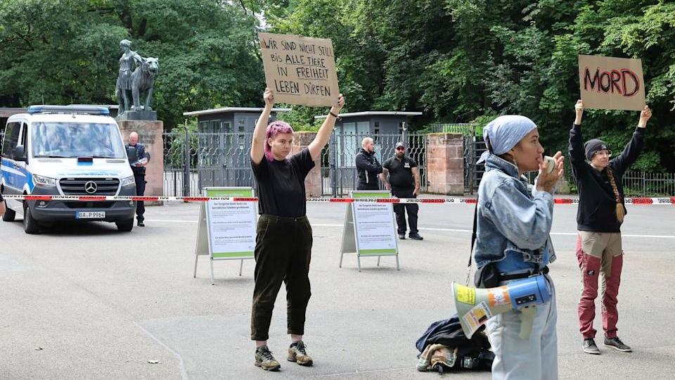 德國動物園因「空間不足」撲殺12隻狒狒　動保團體抗議