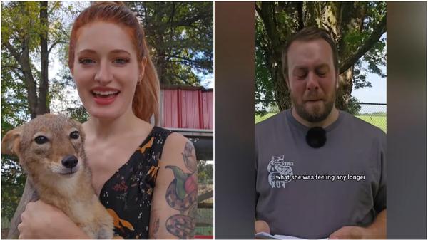 雷恩斯是知名動物保護主義者。（圖／翻攝Instagram@saveafox_rescue）