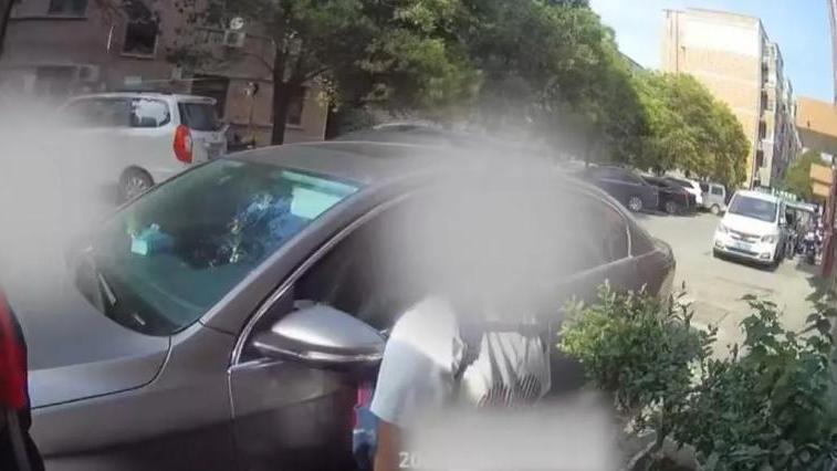 鄭州3名小學生攔警車舉報有人種罌粟。（圖／翻攝鳳凰網）