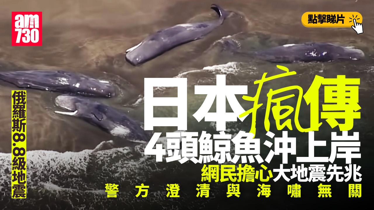 俄羅斯地震｜日本海嘯4頭鯨魚沖上岸片瘋傳 警方澄清早已擱淺(有片)