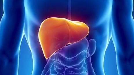 最新研究指出，除非對肥胖、飲酒及肝炎等可預防因素採取更多行動，否則到2050年，估計全球肝癌患者人數將增加接近1倍。(互聯網)