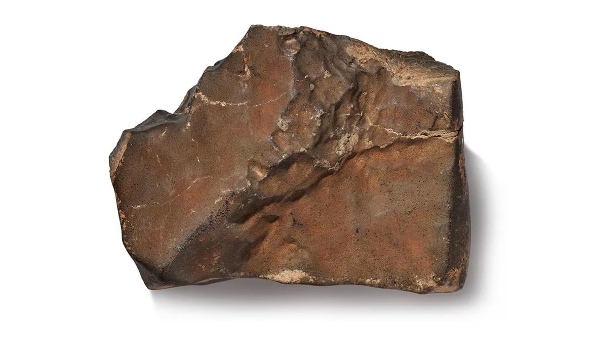 蘇富比官網介紹這次拍賣的迄今全球發現最大火星隕石。(互聯網)