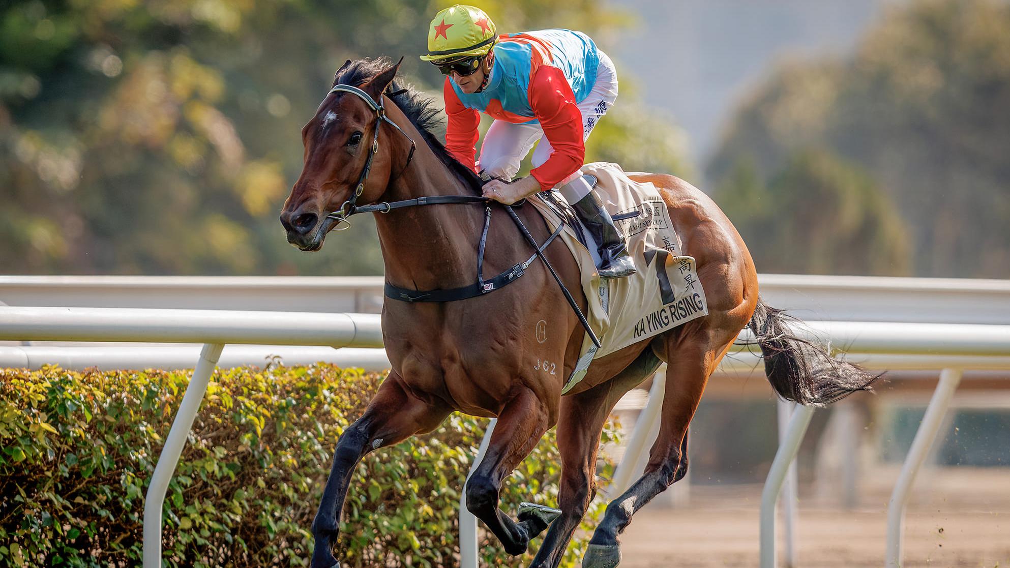 本年度馬季不敗之師「嘉應高昇」榮膺香港馬王