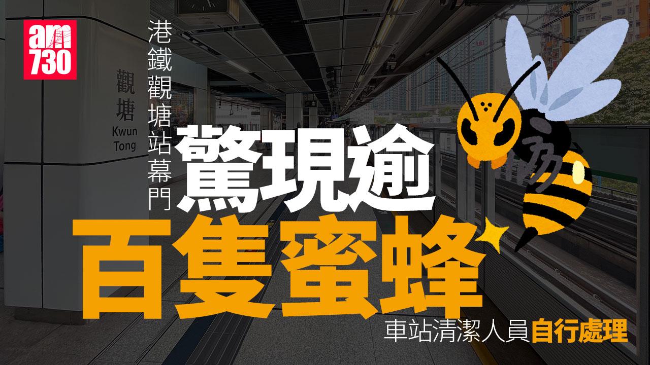 港鐵觀塘站月台驚現逾百隻蜜蜂　港鐵：車站清潔人員自行處理