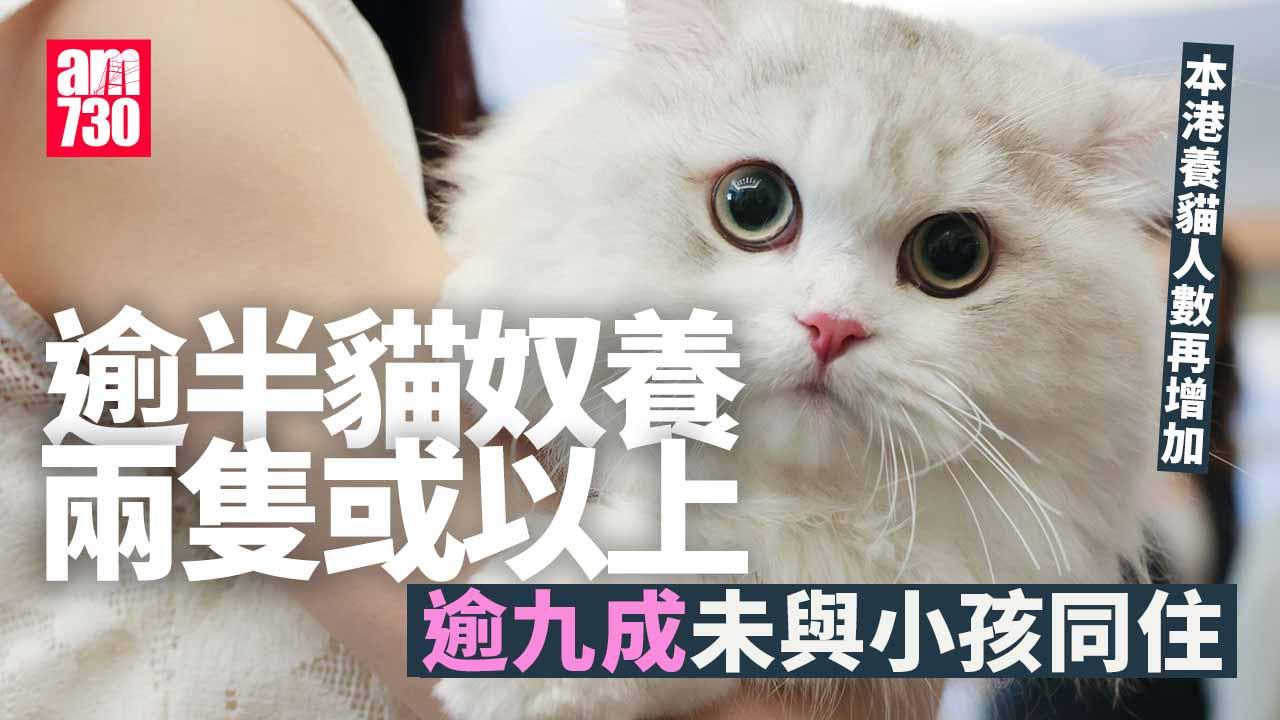 逾半「貓奴」養兩隻或以上 月花逾2000元養貓升6.2%