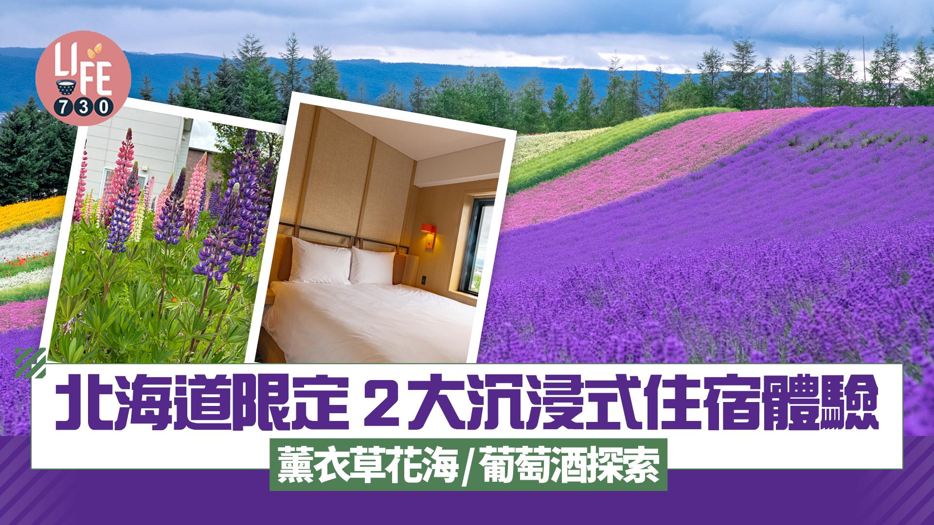 北海道旅遊｜富良野限定！2大沉浸式住宿體驗 薰衣草花海/葡萄酒探索