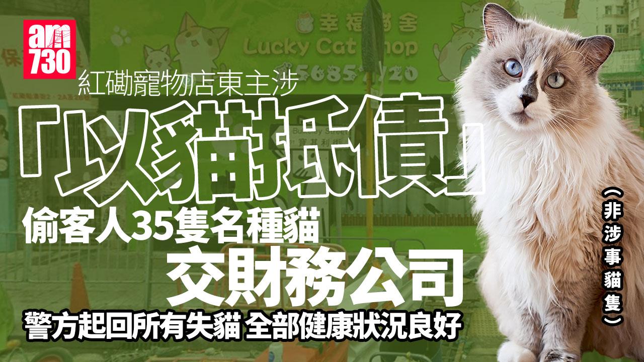 紅磡寵物店東主涉「以貓抵債」 偷客人35隻貓交財務公司(更新)