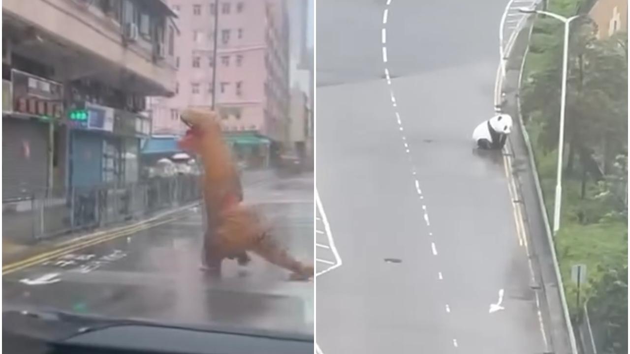 颱風韋帕｜十號風球動物逃脫？ 元朗有恐龍下雨狂奔 「熊貓」現身將軍澳追風｜網上熱話
