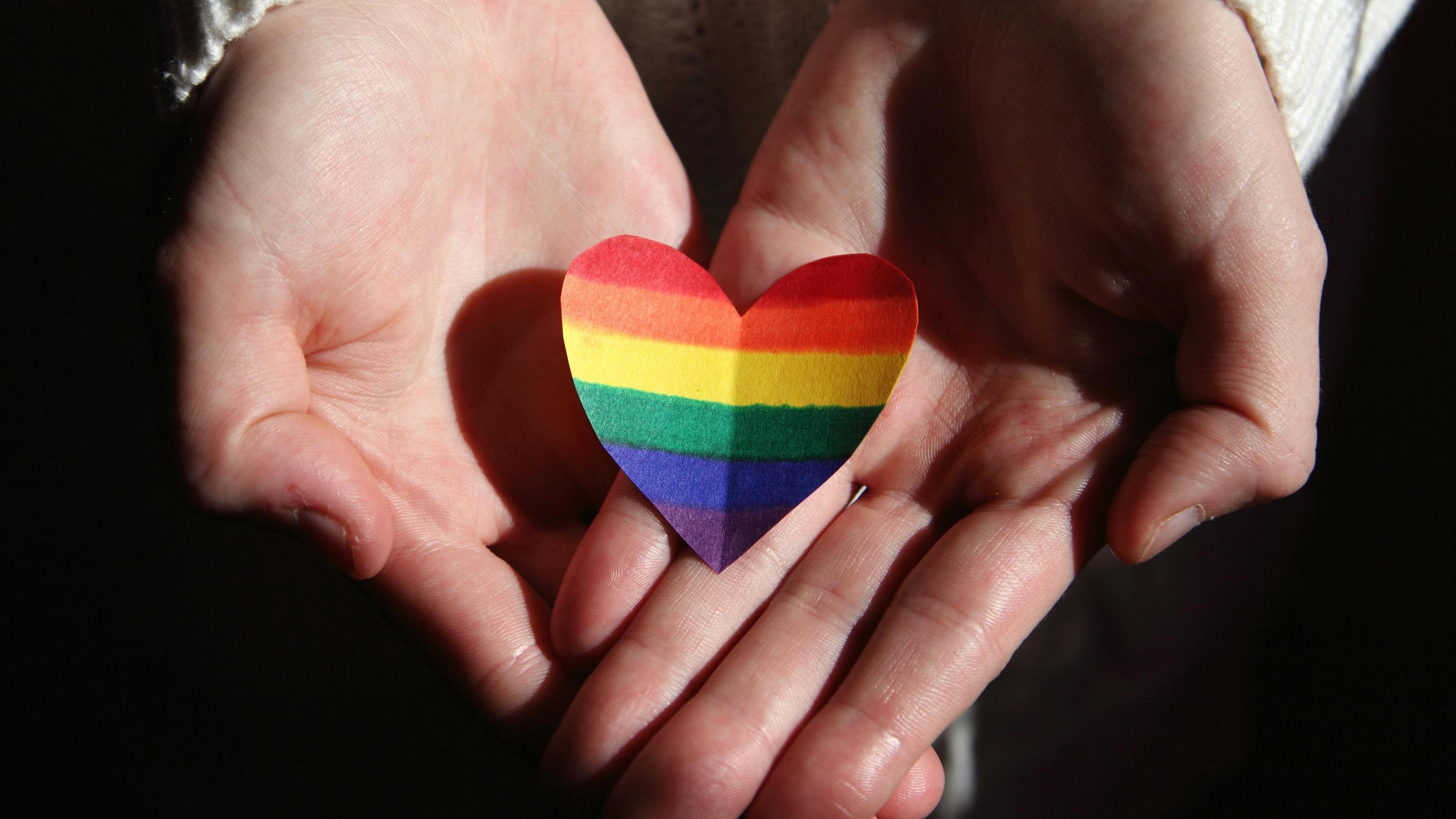 政府提出同性伴侶登記制