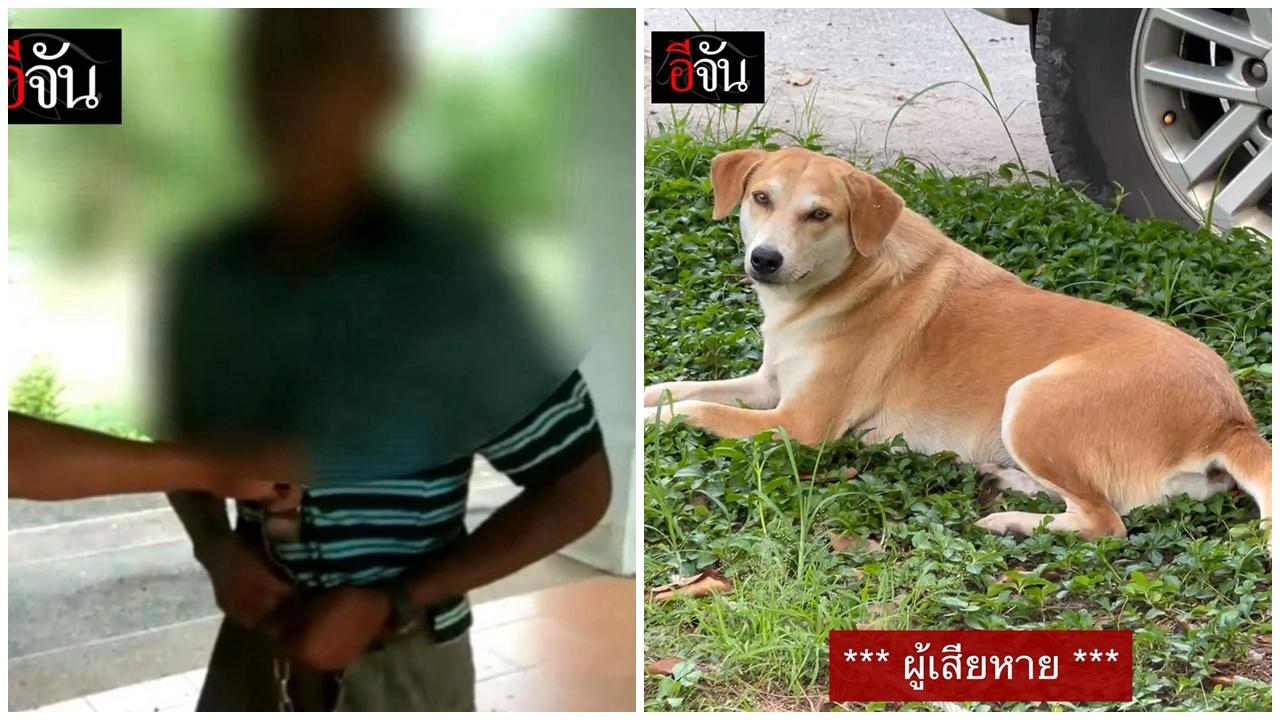 變態公務員公廁性侵流浪狗，被捉時褲頭還未扣好。(YouTube)