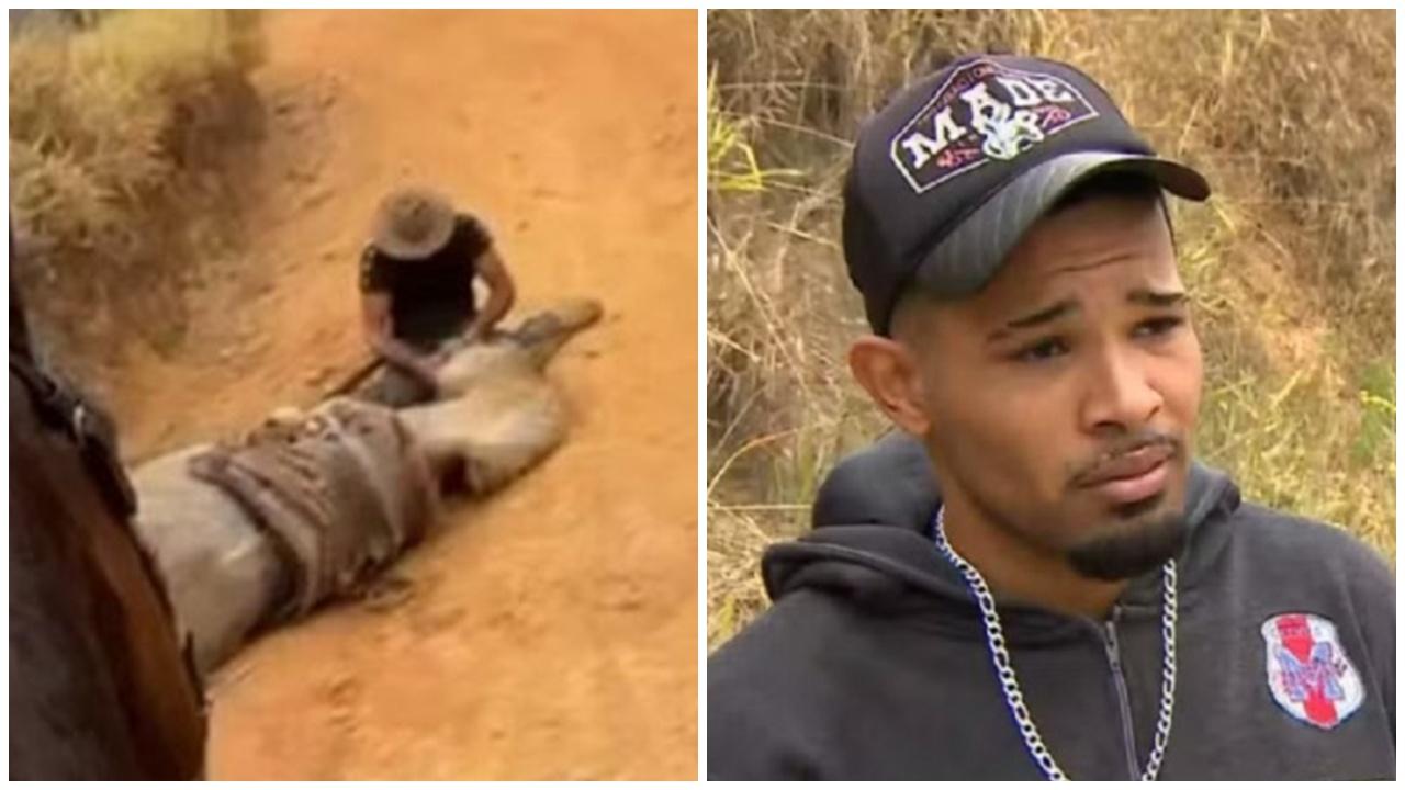 馬被騎到筋疲力盡，兇殘飼主當場揮刀斬四肢棄屍。(X)