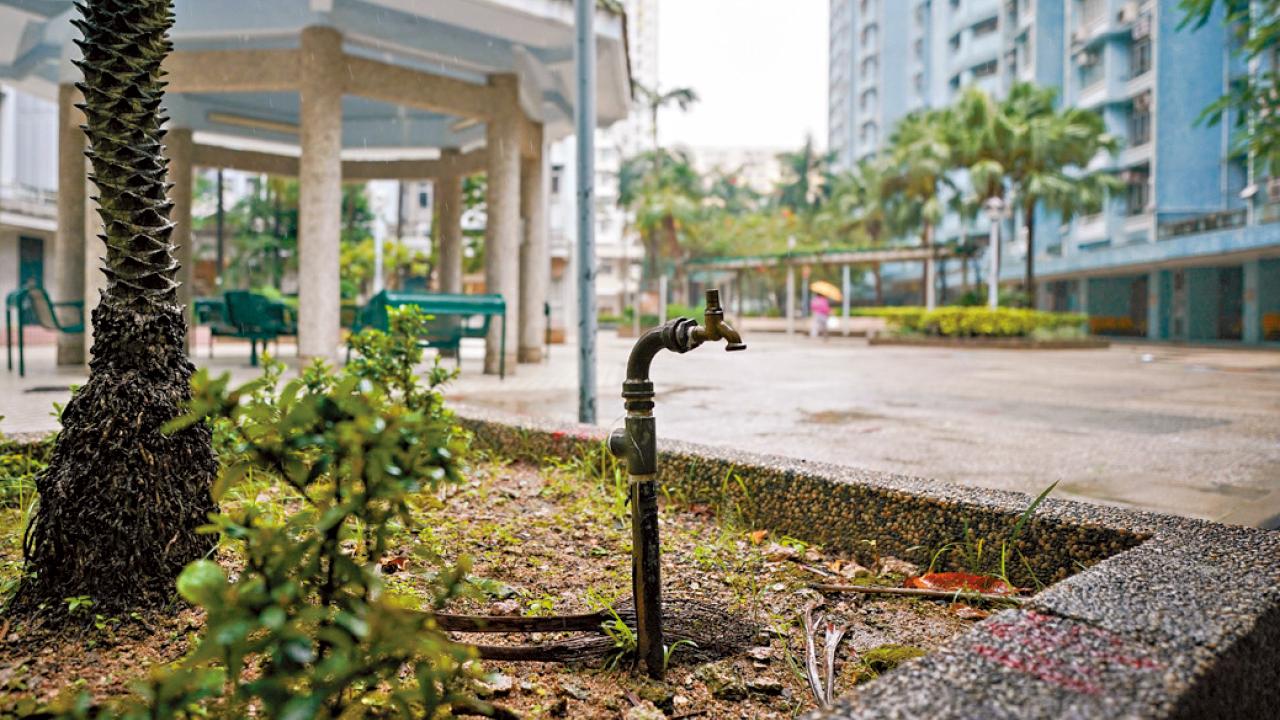 颱風暴雨後避接觸土壤泥水 減感染類鼻疽風險