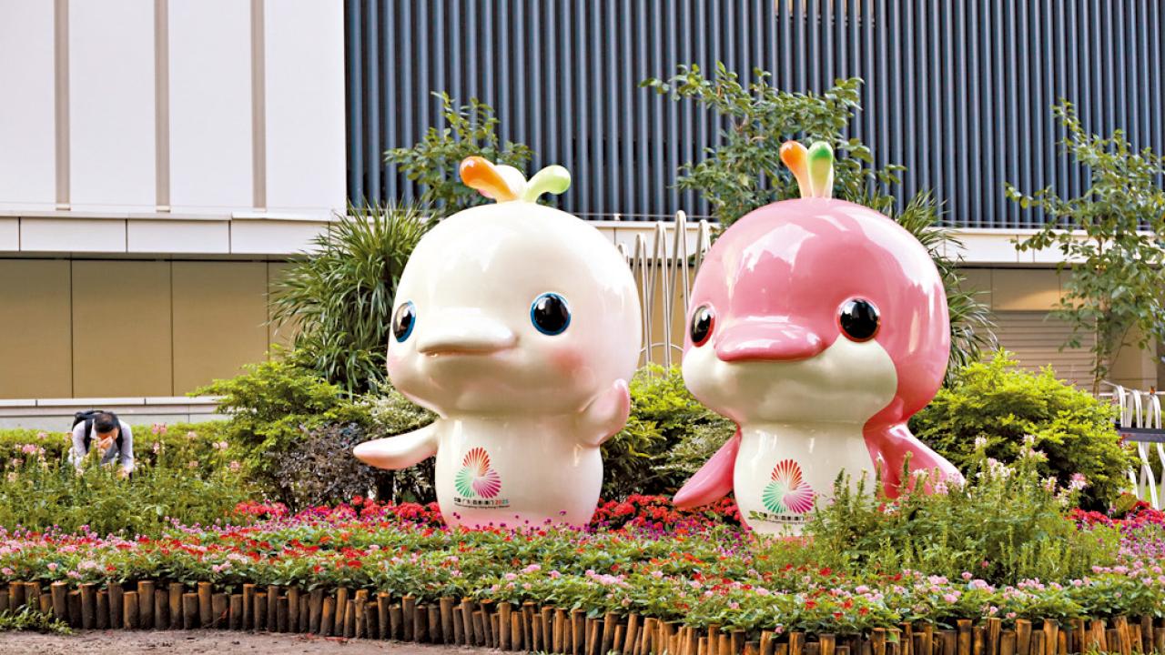 全運會進入最後備戰 楊德強冀市民投入支持運動員