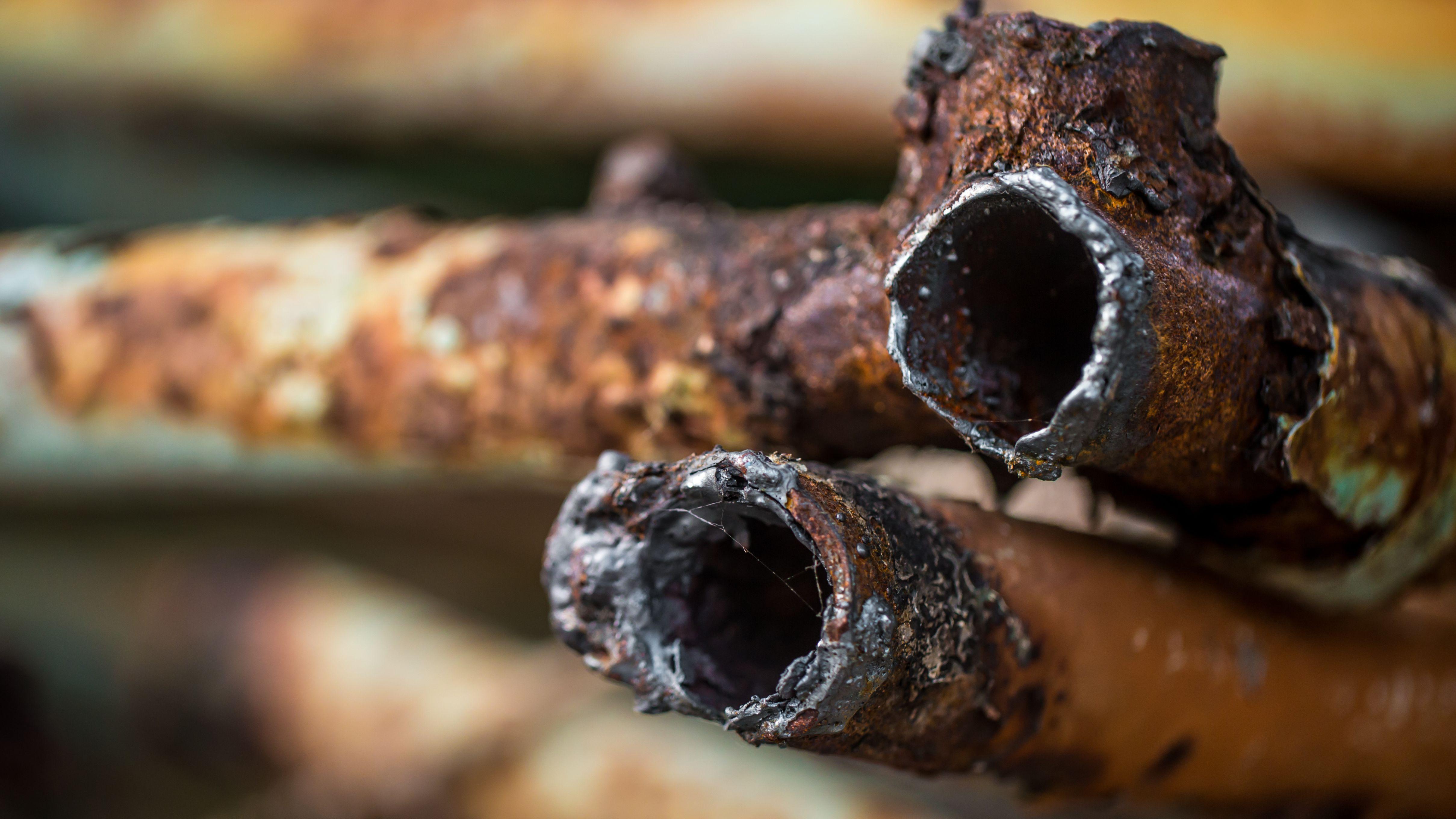 心血管疾病 重金屬 癌症 鉛 高血壓 污染物 舊水管 腦部退化