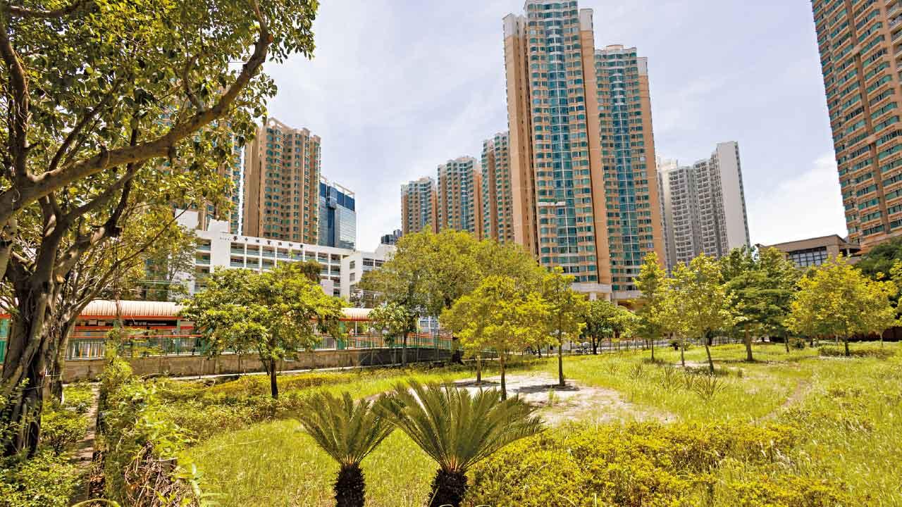 世邦魏理仕：規模適中料受捧 屯門海珠路地皮周五截標 估值最少逾4億