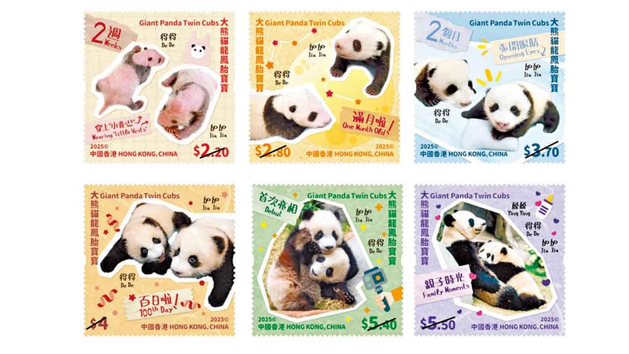 龍鳳胎加加 得得本月1歲生日 大熊貓龍鳳胎寶寶 特別郵票同日推出