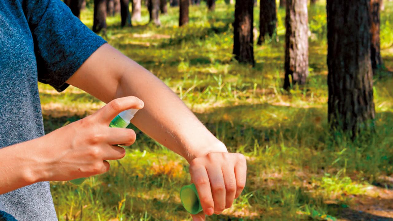 做好防蚊措施 免感染基孔肯雅熱