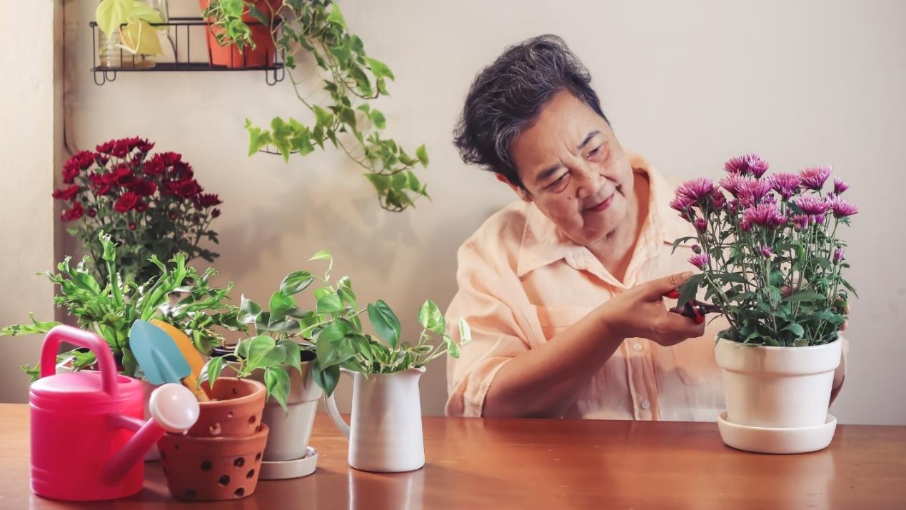 許多長者透過自然接觸與團體互動，不僅緩解焦慮與孤單，也改善睡眠與專注力，重拾生活節奏與價值感。