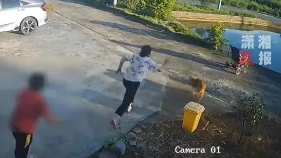 廣東婦分心聊天BB車滑入魚塘 急搶救卻一同跌落水