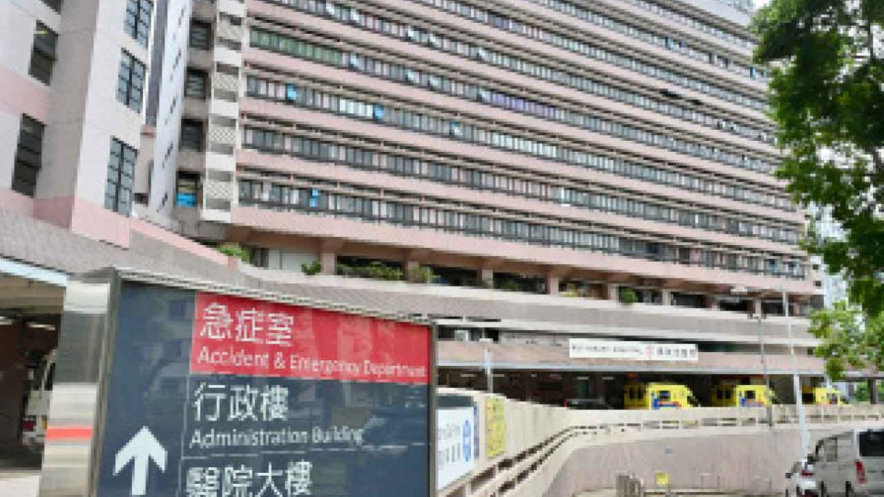 鴨脷洲玉桂山 西貢白腊 蜂群螫人4人受傷送院