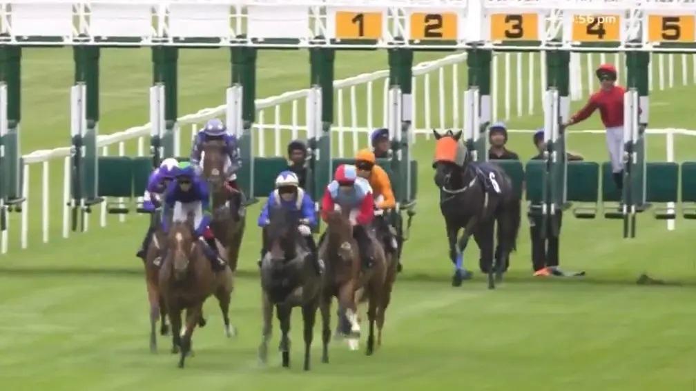 英國一場賽馬發生罕見事故。(影片截圖)
