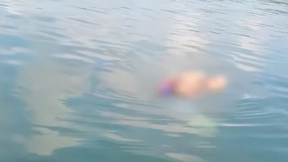 菲律賓前選美王后店舖內遭綁架 赤裸浮屍海面