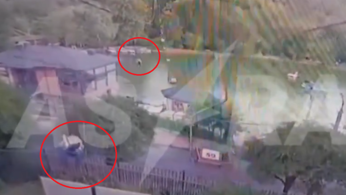 吊椅纜繩斷裂7米高直墮 十多人摔落樹叢湖面8人受傷(有片)