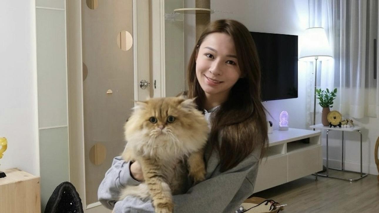 林鈺洧拉斷大髀筋致內出血 拐住行路情況嚴重