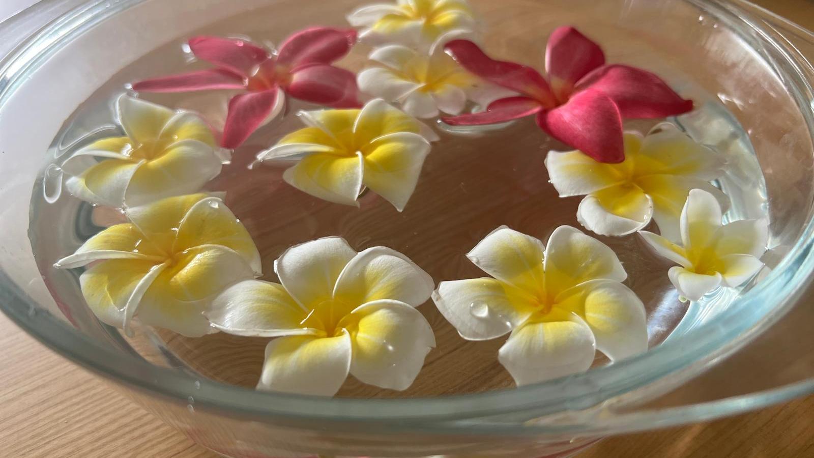 延續雞蛋花之美