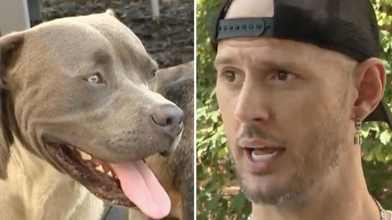 狗狗帶泰恩斯進樹林救回兩名昏迷男女。(互聯網)