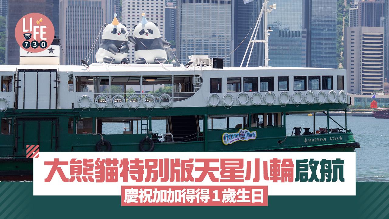 大熊貓特別版天星小輪啟航！ 慶祝加加得得1歲生日 