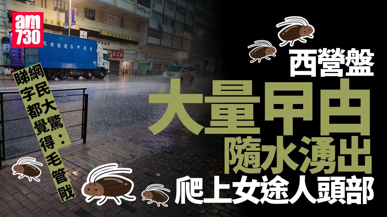 網上熱話｜黑雨西營盤站出口水浸　目擊者稱曱甴群湧爬女路人頭頂