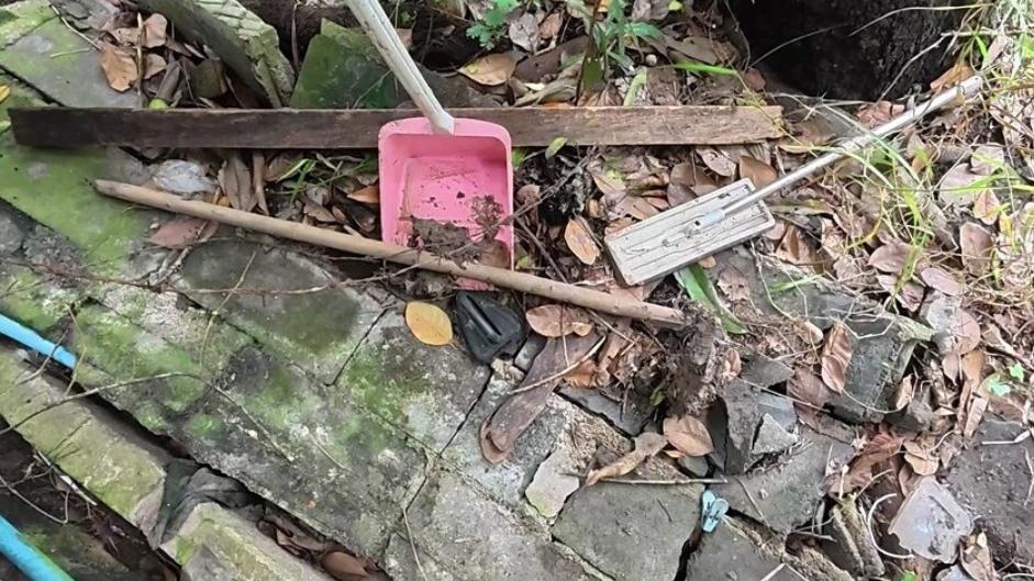 男子為陪伴10多年的愛犬辛苦挖掘墳墓，疑因身體不適，倒地猝死。(互聯網)