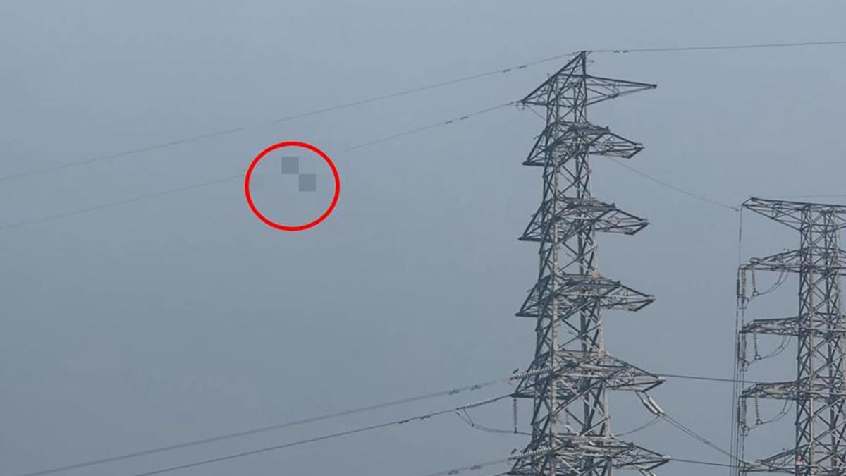 一名男子被發現懸吊在離地20層樓高電纜上，初步判斷他已沒有生命跡象。(《中天新聞網》圖片)