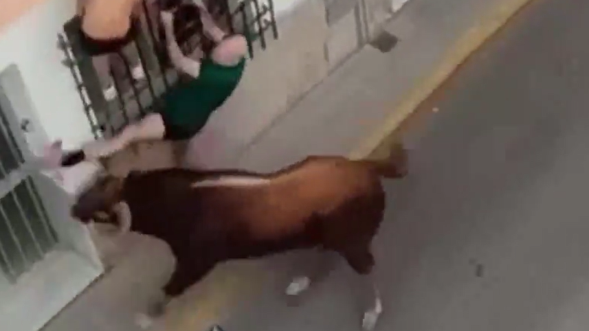 奔牛活動出事！男子攀鐵欄逃命 遭公牛扯下刺死一刻片段曝光(有片)